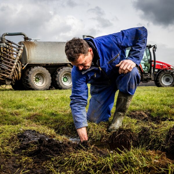 Wat de Provinciale Statenverkiezingen betekenen voor de boeren in Nederland