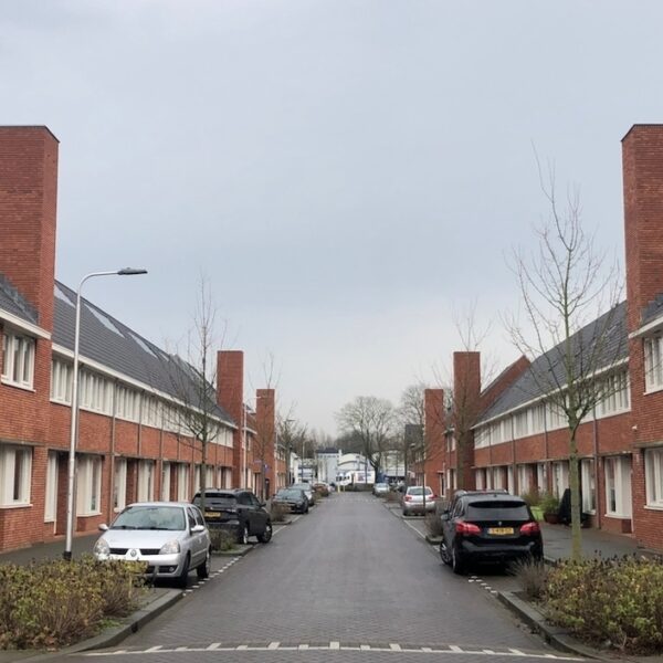 Nepschoorstenen voor de vleermuis