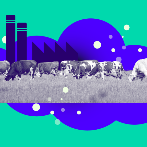 Pointer Pop-up redactie Gelderland