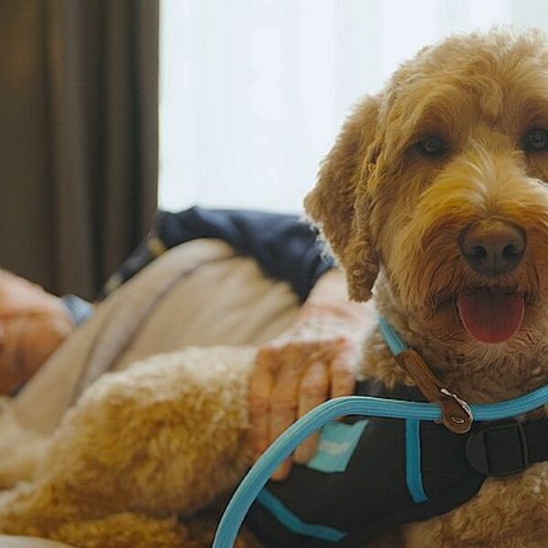 Verzorgingshuizen doen proef met honden bij ouderen met dementie