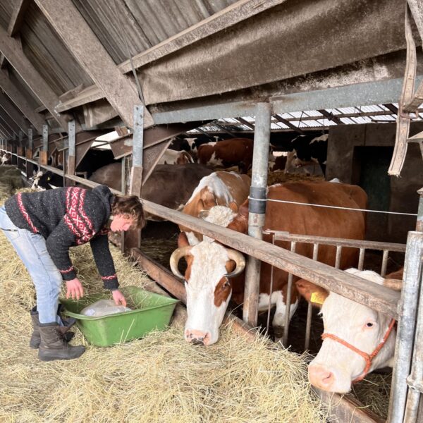De nieuwe manier van boeren is eigenlijk heel oud