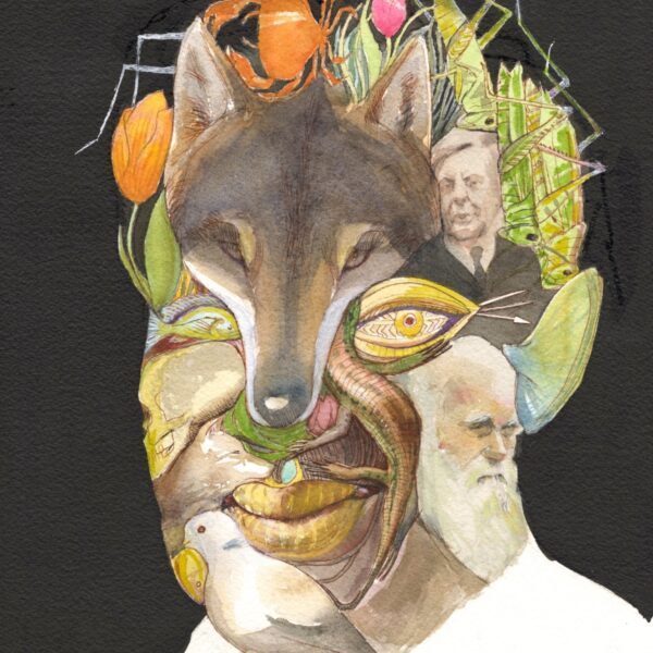 Jan Wolkers Prijs 2022 gaat naar Tijs Goldschmidt