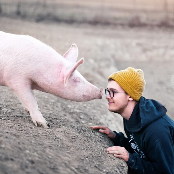 Gaat het slecht met de gezondheid van dieren? Dan óók met die van mensen