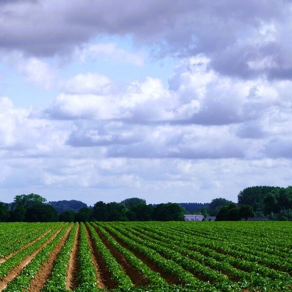 Deze onafhankelijke voedselproducenten doen het nét even anders. Van teelt tot visserij