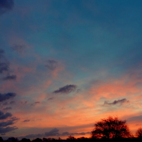 Wandelvriend Lenny heeft Elfie Tromp geleerd wat ruimte is