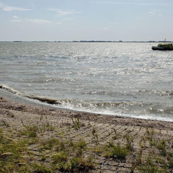 Alledaagse Vragen - Komt buitenlandse afvallozing ook bij ons terecht?