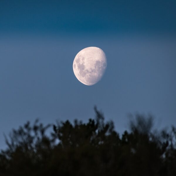 Japans bedrijf ispace gaat naar de maan: 'Er is veel geld te verdienen'