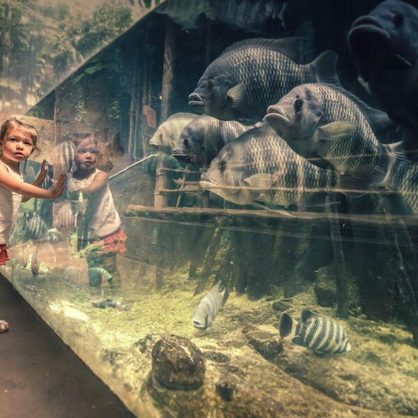 Moeten we af van de dierentuin?