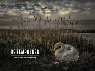 Fotoboek van Hung Hoang toont Eempolder in volle glorie: 'Kleuren in werk van Van Gogh worden hier werkelijkheid'