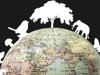 Biodiversiteitstop kan belangrijk akkoord opleveren