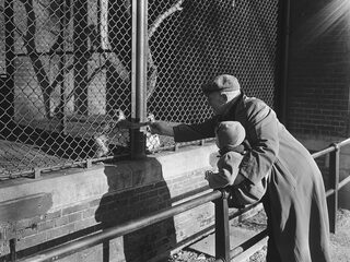 De dierenverzorgers die achterblijven in Charkiv