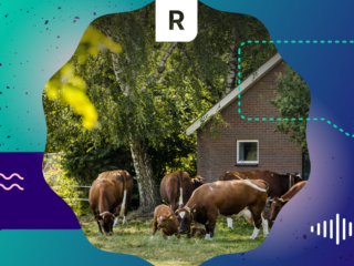 Pointer Regio: het Gelderse stikstofdebat