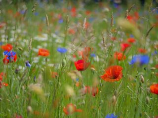 'Bouw mee aan een haalbare toekomst voor de agrariërs in een leefbaar land'