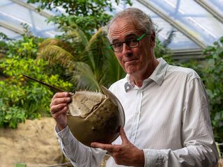 Govert Schilling duikt in de oorsprong van de mens. 'Het wemelt onder onze voeten van de onontdekte schatten'