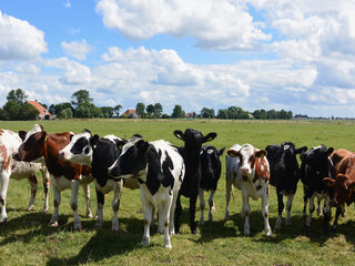 Boeren niet onteigenen, maar sámen landbouwgrond beheren