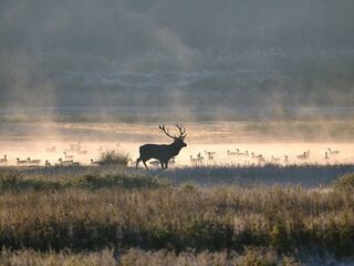 'Als wij onszelf willen redden, moeten wij heel veel natuur volledig beschermen'