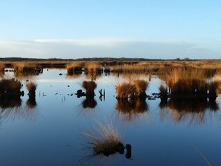 'Red het klimaat, bescherm het Veen!'