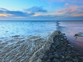 Stroomkabel dwars door meest biodiverse stuk Waddenzee gepland