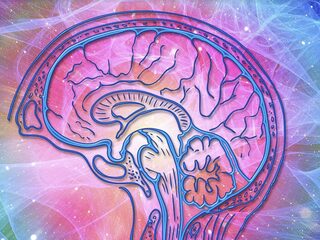 Ontrafelen we het menselijk bewustzijn met psychedelica?