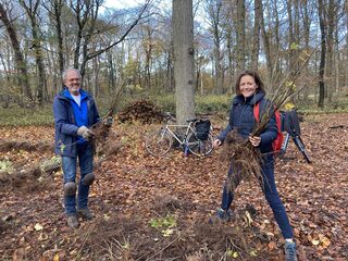 Biodiversiteit herstellen door bomen te verplanten: doe mee aan de Doneer-een-Zaailing-Dag