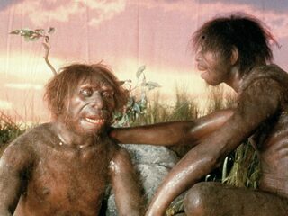 Een nieuwe blik op de wereld van Homo erectus