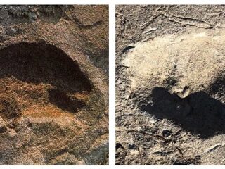 Voetafdrukken van oeroude mensensoort ontdekt