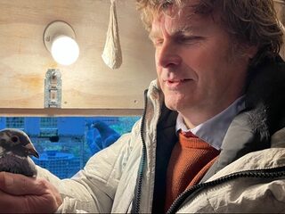 Rense Sinkgraven: het gaat niet goed met de duivensport