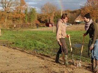 Help de natuur, plant struiken!