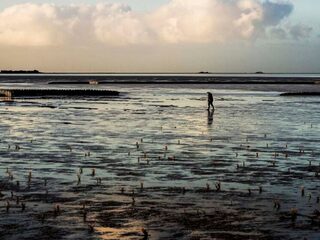 Mens is afhankelijk van de Waddenzee, is te zien in 'Silence of the Tides'