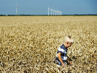 Hongersnood door oorlog Oekraïne ook voor ons 'dichterbij dan je denkt'