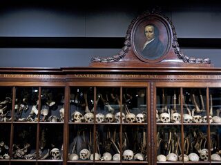 Worden we almaar gezonder? Onze levensverwachting kan zelfs weer teruglopen