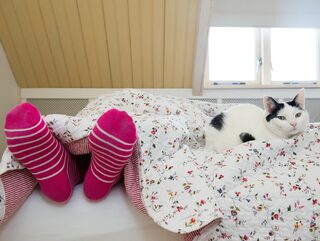 In een lucide droom bepaal je zelf of je gaat vliegen