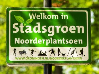 Stand.nl: 'We moeten miljarden investeren in vergroening van de steden'