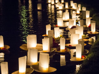 In november overleden 3500 meer mensen dan gebruikelijk