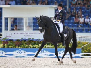 De strijd over het verkooprecht van het sperma van dressuurpaard Totilas