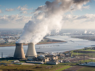 Vis in de Westerschelde zit vol Pfas