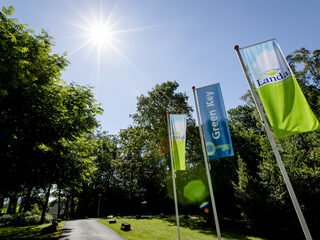 Landal Greenparks-directeur maakt andere werkkeuzes sinds ziekte: 'Wat ik nu doe, heb je geen kanker voor nodig!'