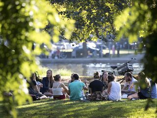 Van versteende vlakte naar plantenparadijs: zo keert de natuur terug in steden en woonwijken
