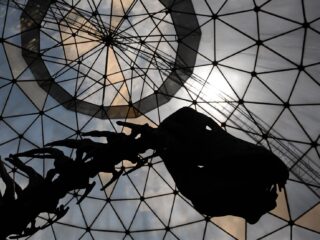 Waarom in Colombia een dinosaurus naar de vrede wordt vernoemd