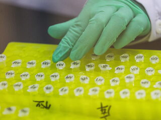 Samenwerking Nederland en China in gevoelig dna-onderzoek is 'fundamenteel fout'