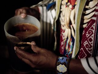 Ayahuasca-aanbieders negeren waarschuwingen experts over medische gevolgen