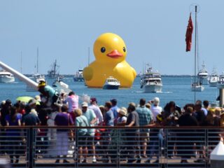 Florentijn Hofman over nieuwste kunstproject: 'Ik maak grote dingen, zodat jij afstand kan nemen'