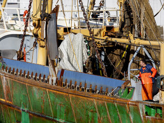 Nederland verzweeg informatie voor EU om pulsvisvergunningen