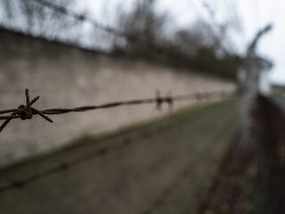 Oorlog in Westerbork