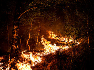 Nederlandse helikopterpiloot blust bosbranden in Albanië: 'Boeren op de grond zwaaien dankbaar naar ons'