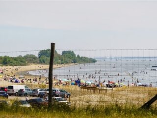 Onze massale liefde voor het strand, de zee en de duinen dreigt de Nederlandse kust te verstikken