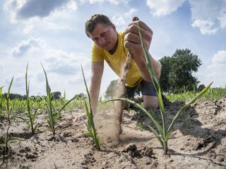 Droogte ondanks neerslagoverschot: 'Moeten water beter vasthouden'