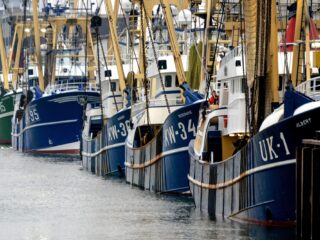 Podcast De Dag: kotters aan de kant: is er nog toekomst voor vissers?