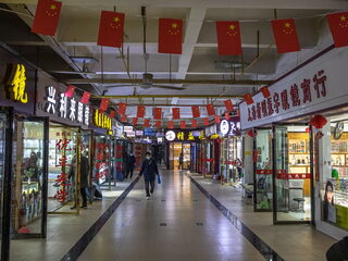 En toen wisten we ineens precies welke dieren er op de markt in Wuhan zaten