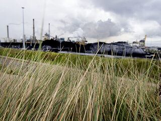 Kwetsbare duinen lijden onder stikstofuitstoot: 'Een flink deel daarvan komt van Tata Steel'